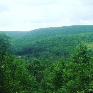 Meet your Posher, Charlie